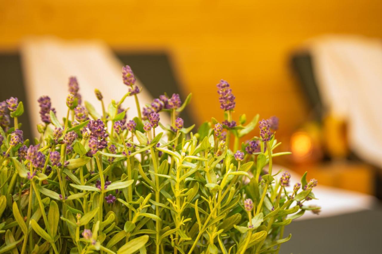 טריברג Wellnessoase Mitten In Triberg מראה חיצוני תמונה